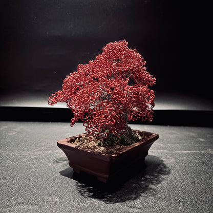ALUMINUM SHARI CYPRESS Red  鋁．舍利真柏-紅