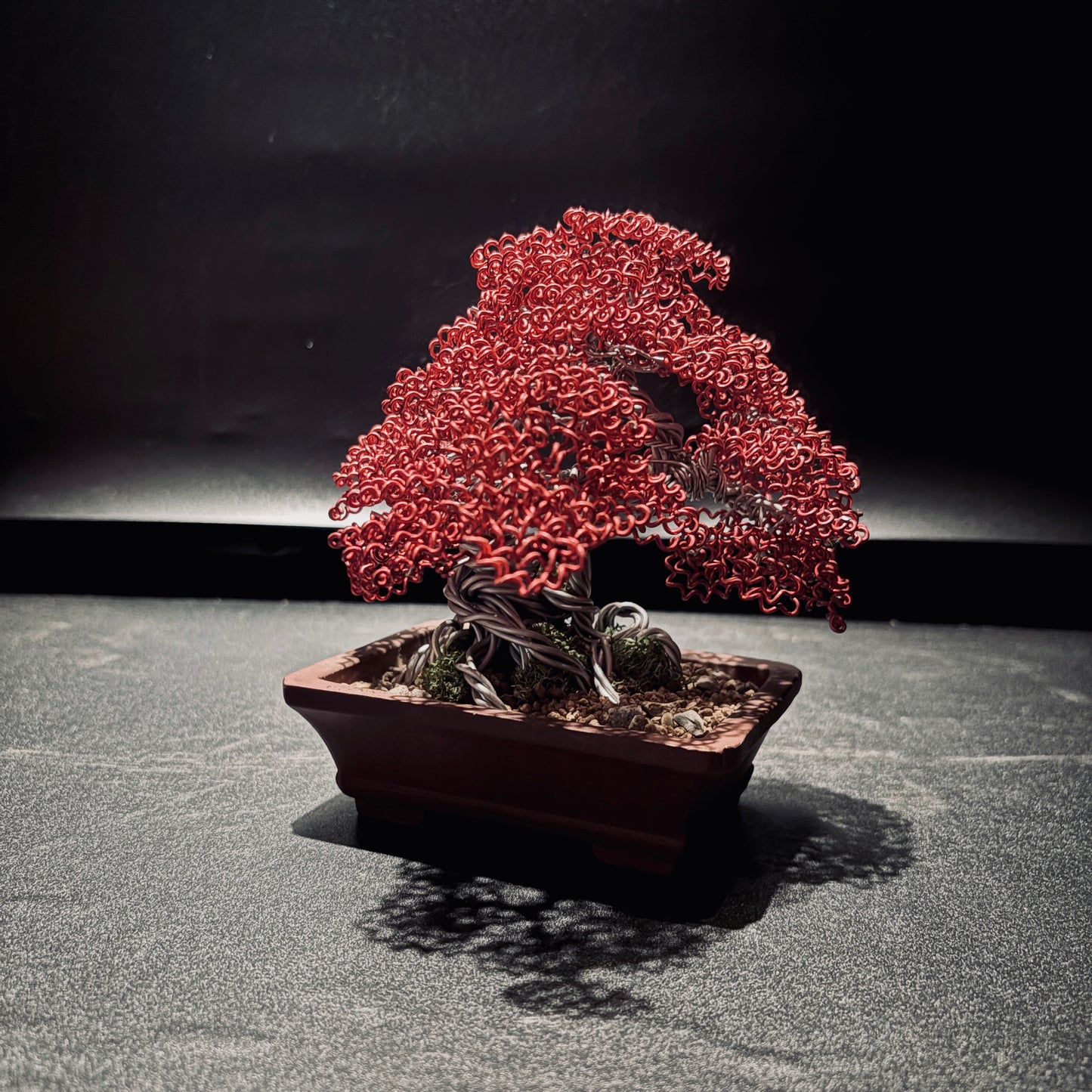 ALUMINUM SHARI CYPRESS Red  鋁．舍利真柏-紅