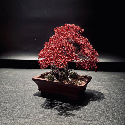 ALUMINUM SHARI CYPRESS Red  鋁．舍利真柏-紅